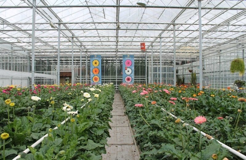 Avonturenpark Emsflower