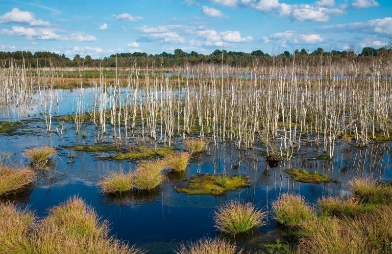 Natuurpark Hümmling