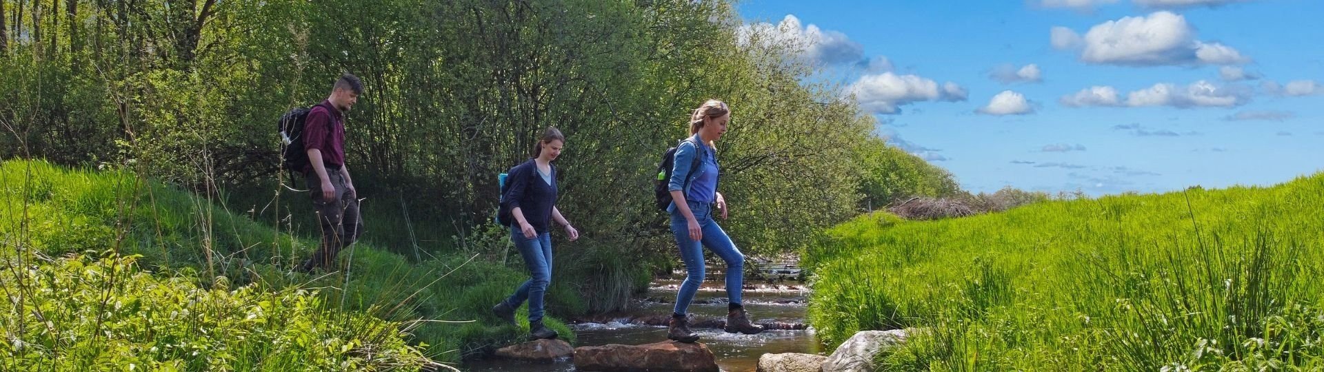 Umgebung camping hasetal 1